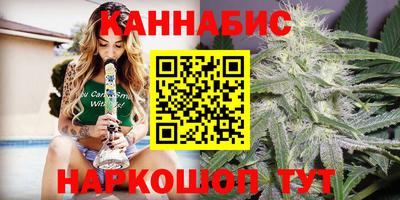 дмт Славгород