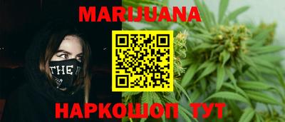 дмт Славгород