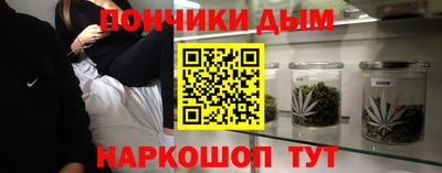 дмт Славгород