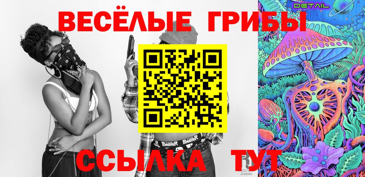 Псилоцибиновые грибы Psilocybine cubensis Прохладный